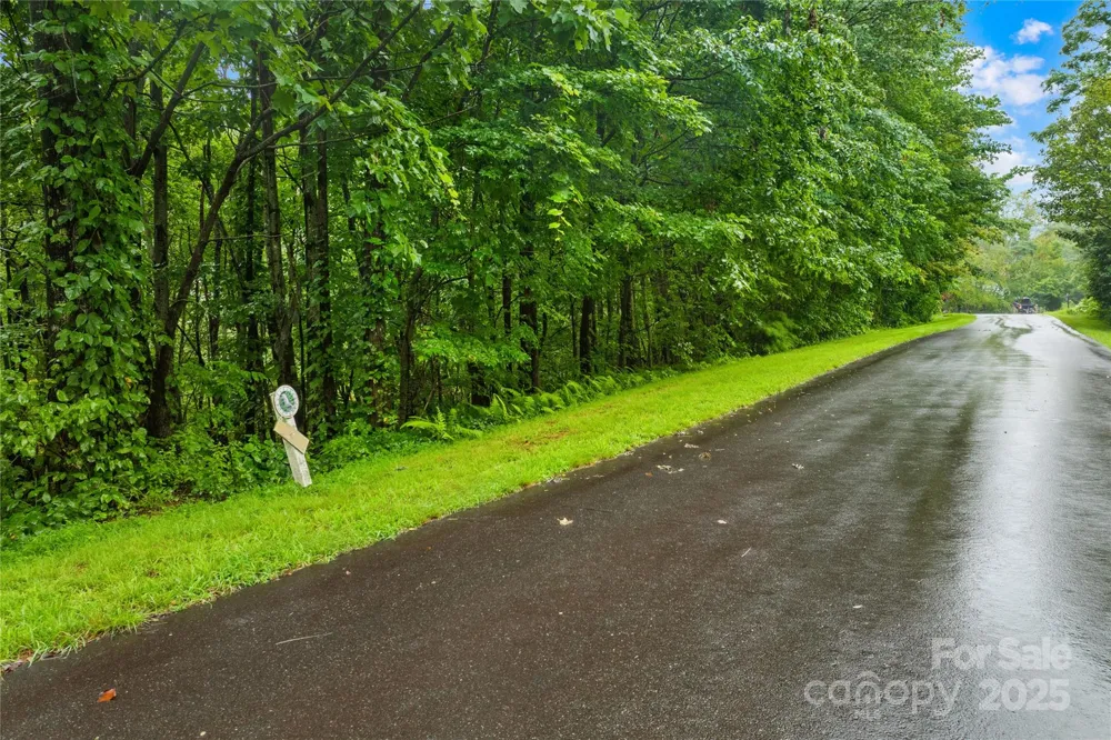 262 Feather Falls Trail #3 Black Mountain, NC 28762