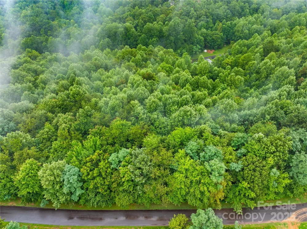 262 Feather Falls Trail #3 Black Mountain, NC 28762