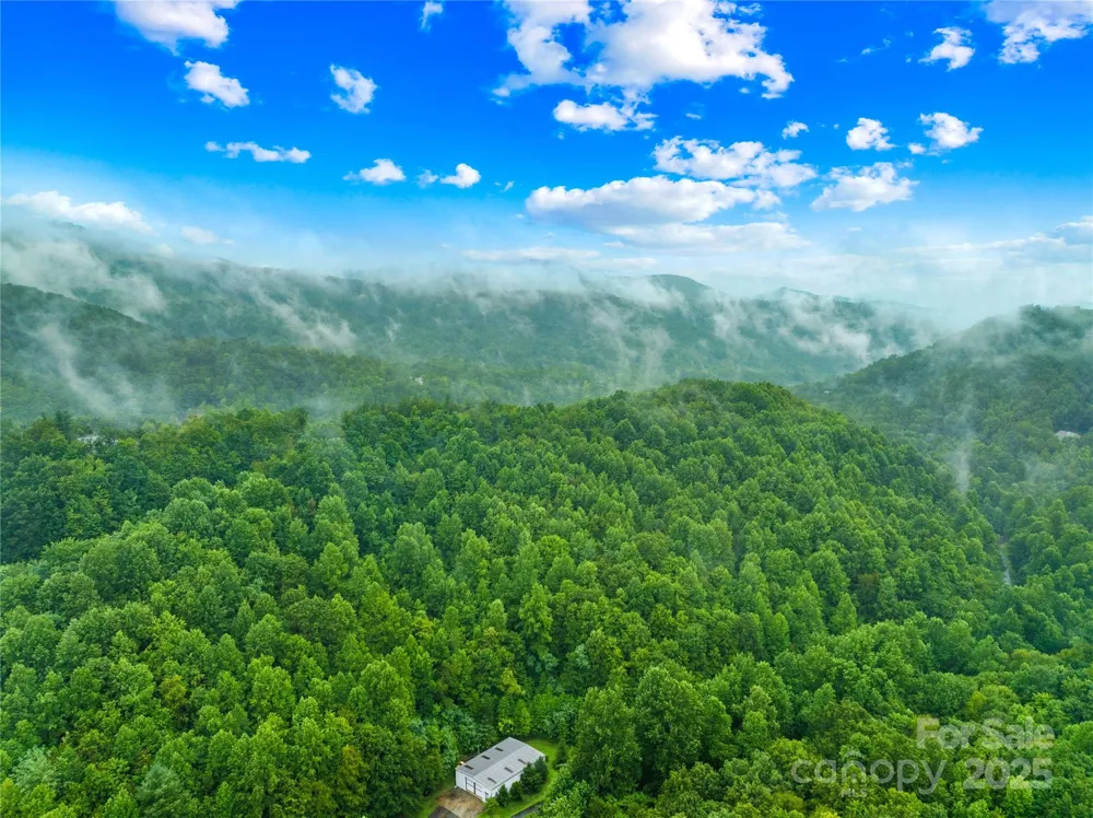 262 Feather Falls Trail #3 Black Mountain, NC 28762
