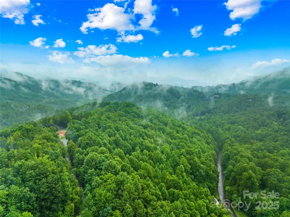 262 Feather Falls Trail #3 Black Mountain, NC 28762