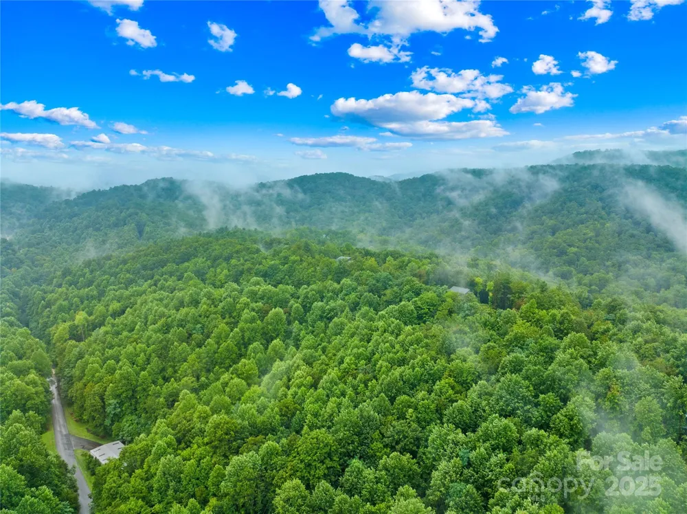 262 Feather Falls Trail #3 Black Mountain, NC 28762