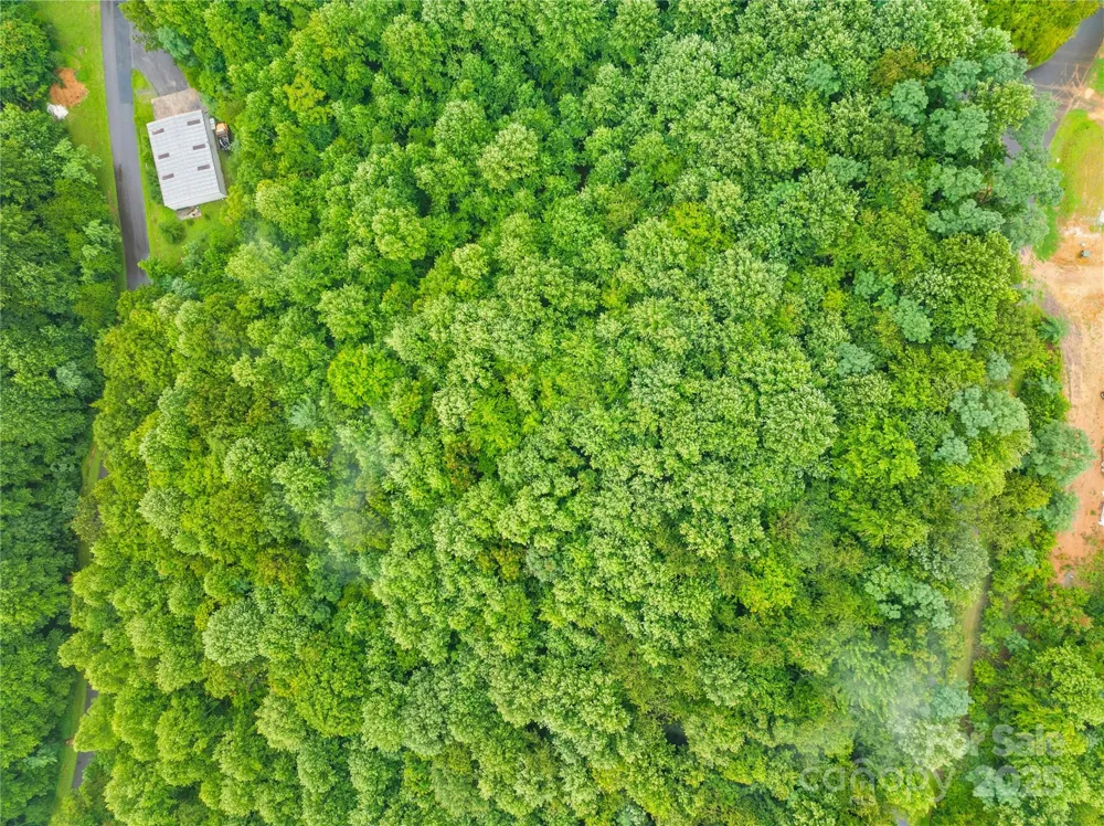 262 Feather Falls Trail #3 Black Mountain, NC 28762