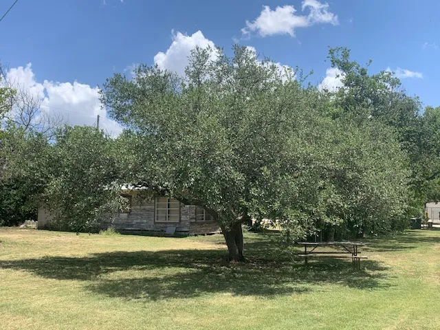 1503 Burleson Street Kyle, TX 78640