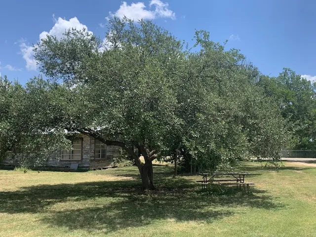 1503 Burleson Street Kyle, TX 78640