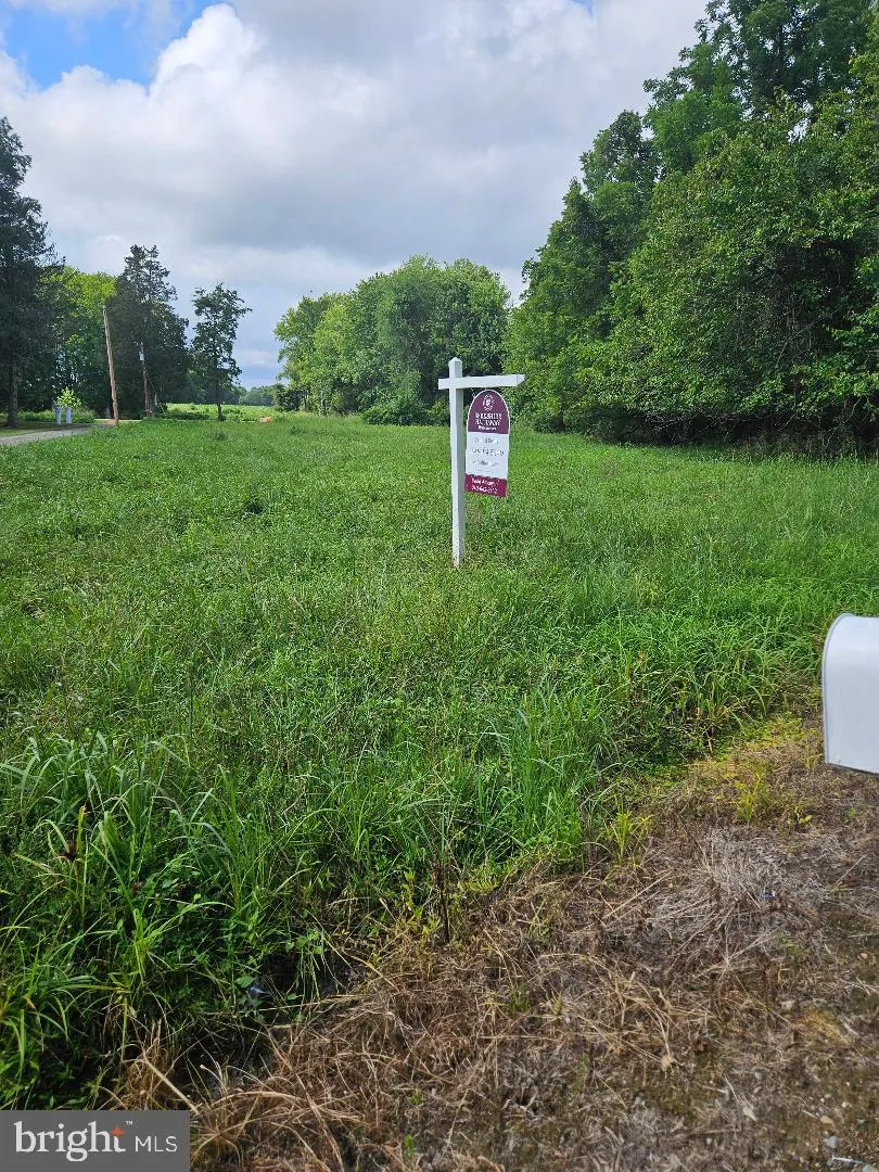 JOHNSONTOWN ROAD Chestertown, MD 21620