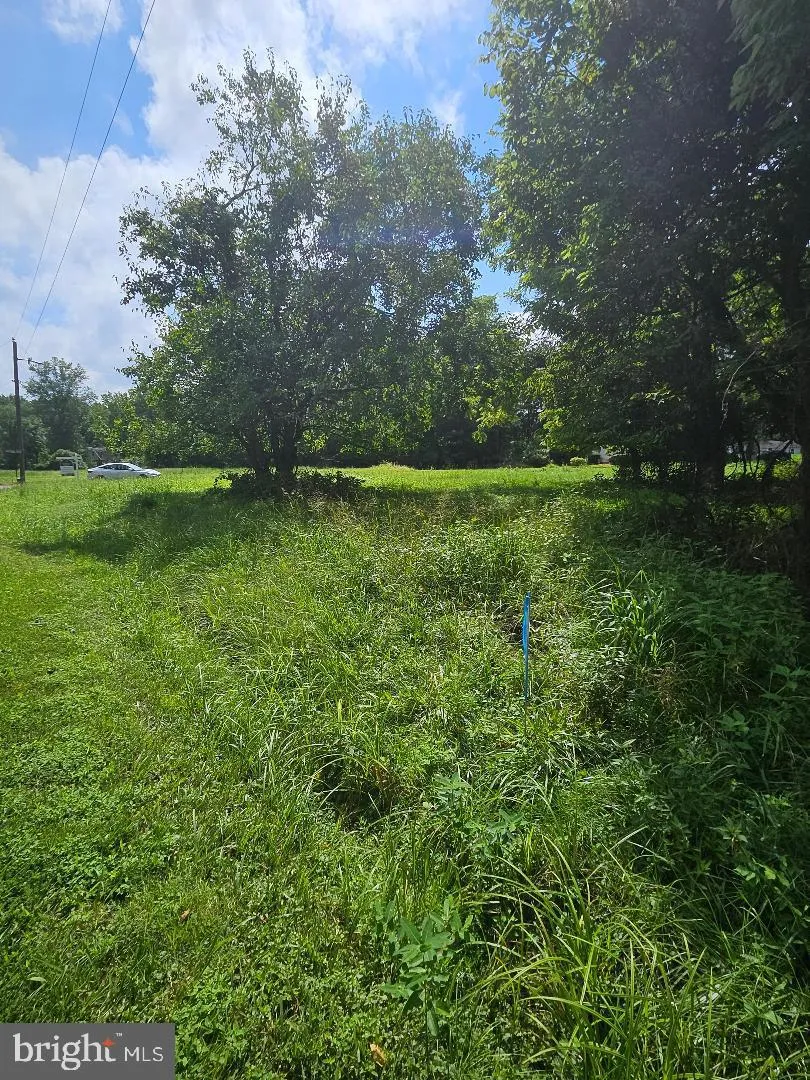 JOHNSONTOWN ROAD Chestertown, MD 21620