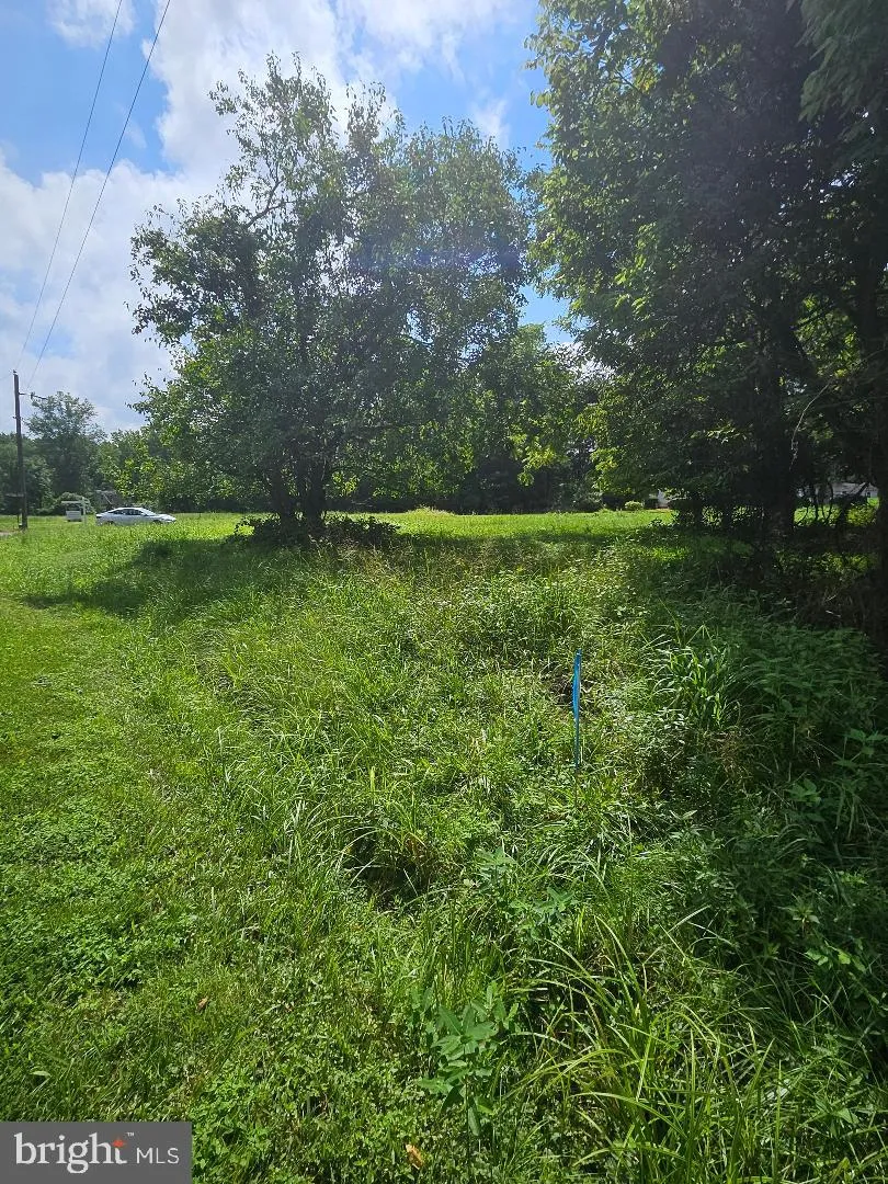 JOHNSONTOWN ROAD Chestertown, MD 21620