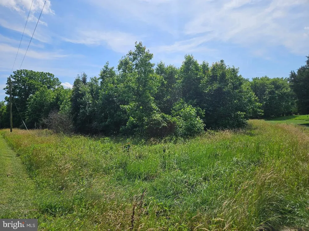 JOHNSONTOWN ROAD Chestertown, MD 21620