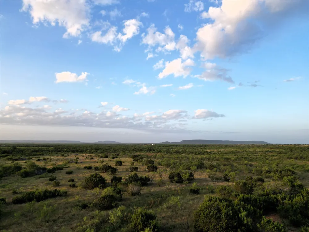 CR 177 Ovalo, TX 79541
