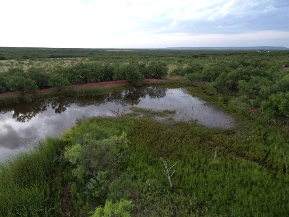 CR 177 Ovalo, TX 79541