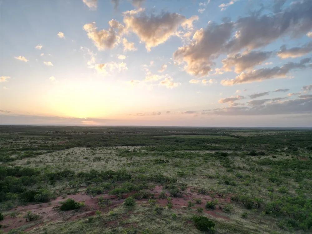 CR 177 Ovalo, TX 79541