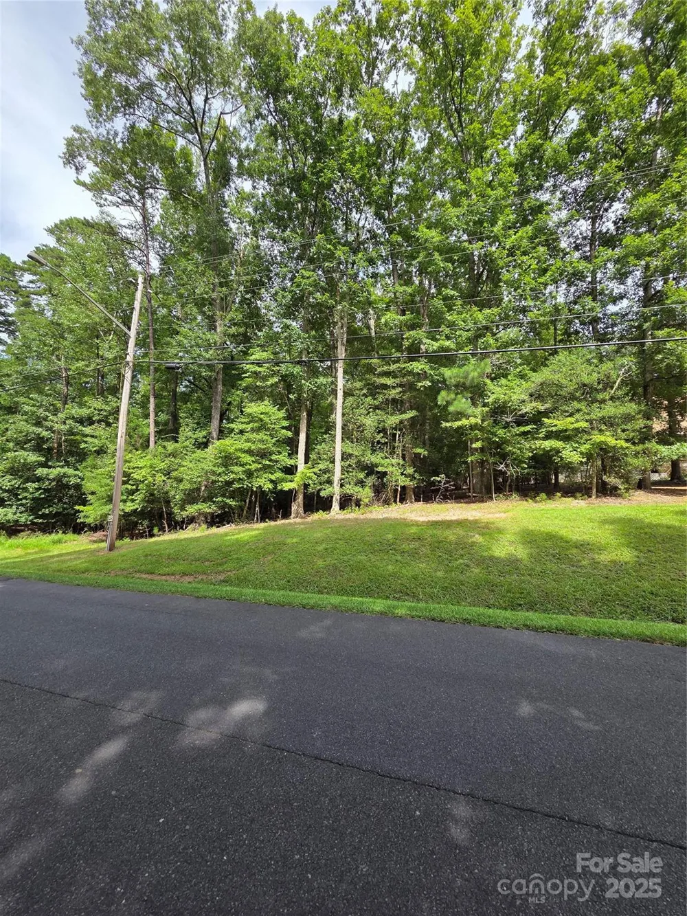 242 Creswell Road Mount Gilead, NC 27306