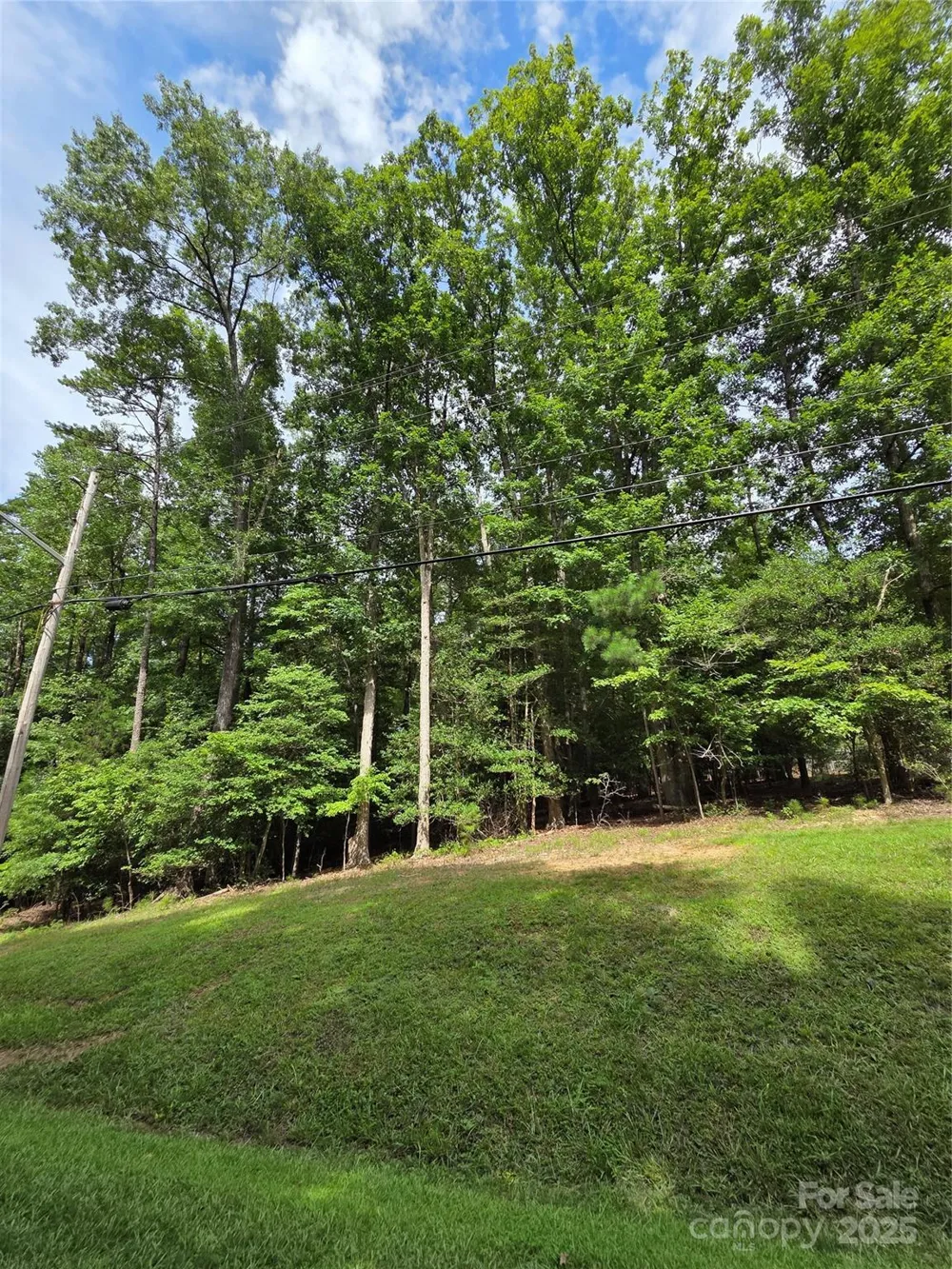 242 Creswell Road Mount Gilead, NC 27306