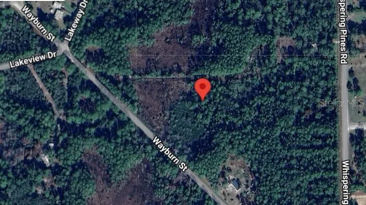 116 WAYBURN STREET Georgetown, FL 32139