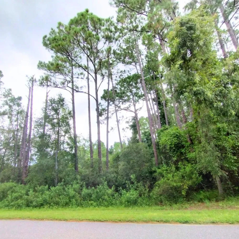 116 WAYBURN STREET Georgetown, FL 32139