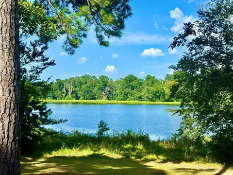 Lakeland Ranch Lot 392,393