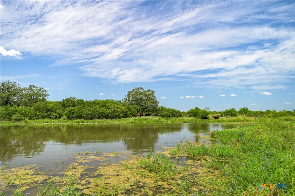 6144 Fm-2237 Flatonia, TX 78941