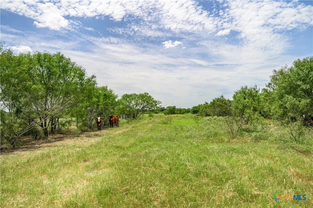 6144 Fm-2237 Flatonia, TX 78941