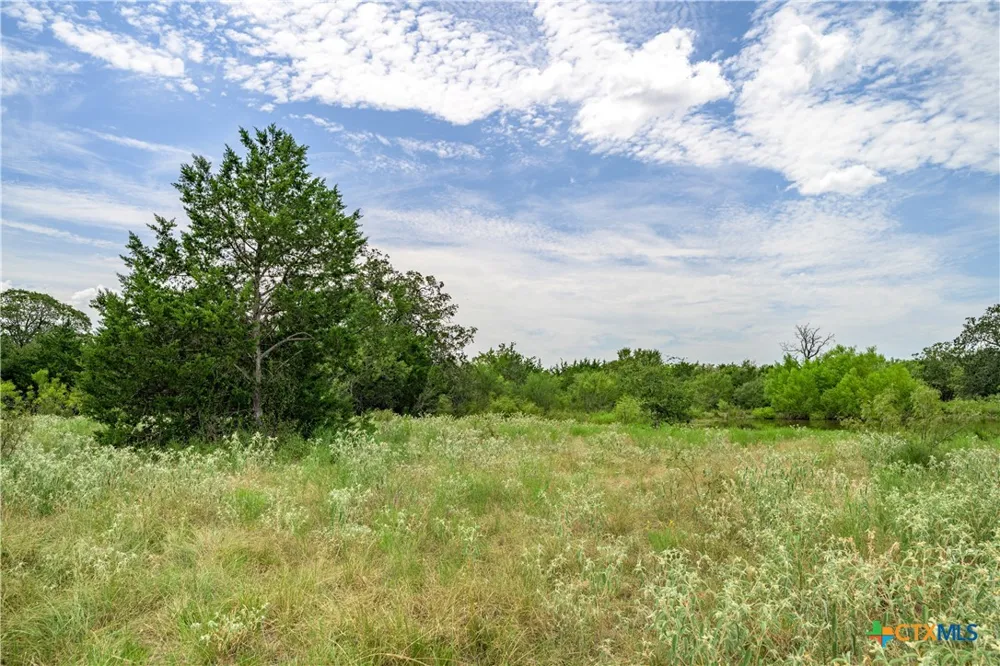 6144 Fm-2237 Flatonia, TX 78941
