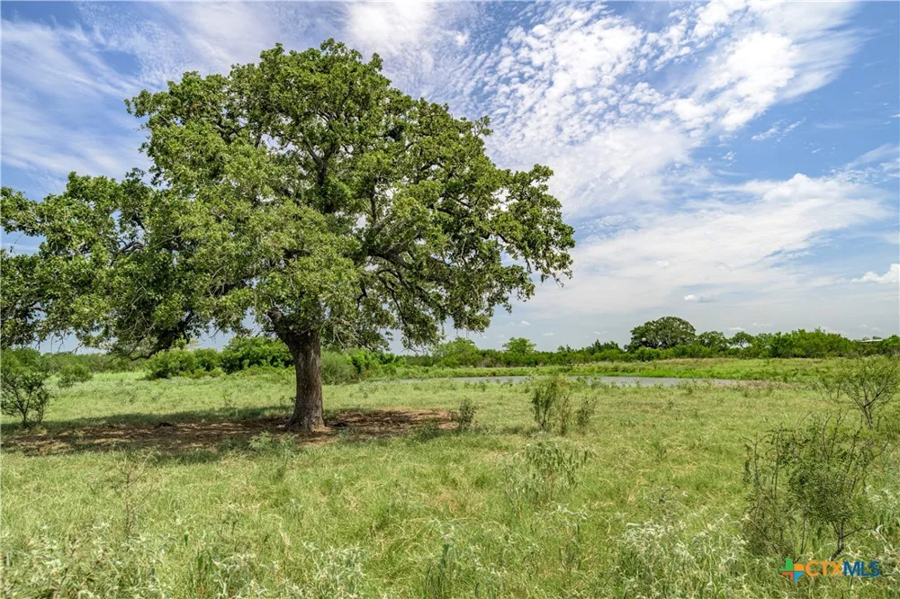 6144 Fm-2237 Flatonia, TX 78941