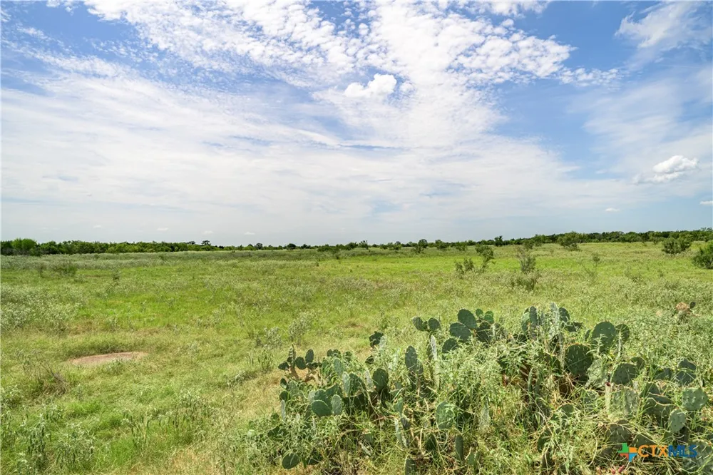 6144 Fm-2237 Flatonia, TX 78941