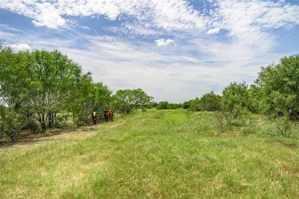 6144 Fm 2237 Flatonia, TX 78941