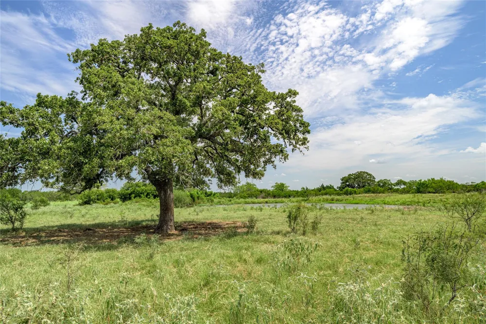 6144 Fm 2237 Flatonia, TX 78941
