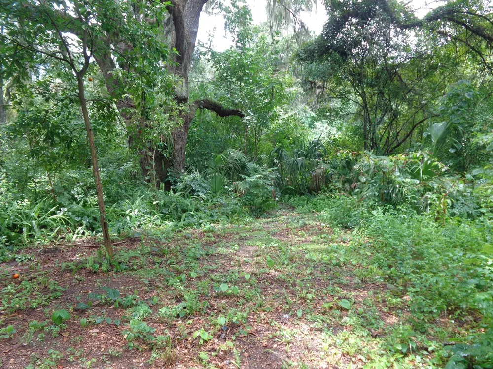 2878 NE 161ST STREET Citra, FL 32113