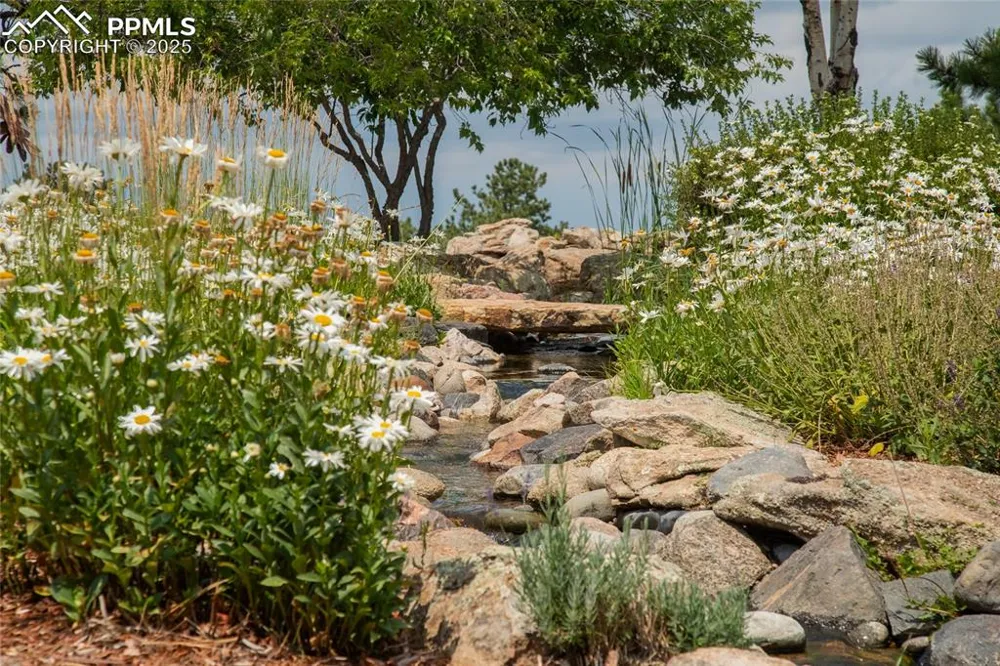 11503 E Smith Road Elbert, CO 80106