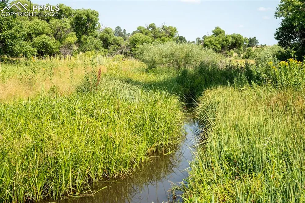 11503 E Smith Road Elbert, CO 80106