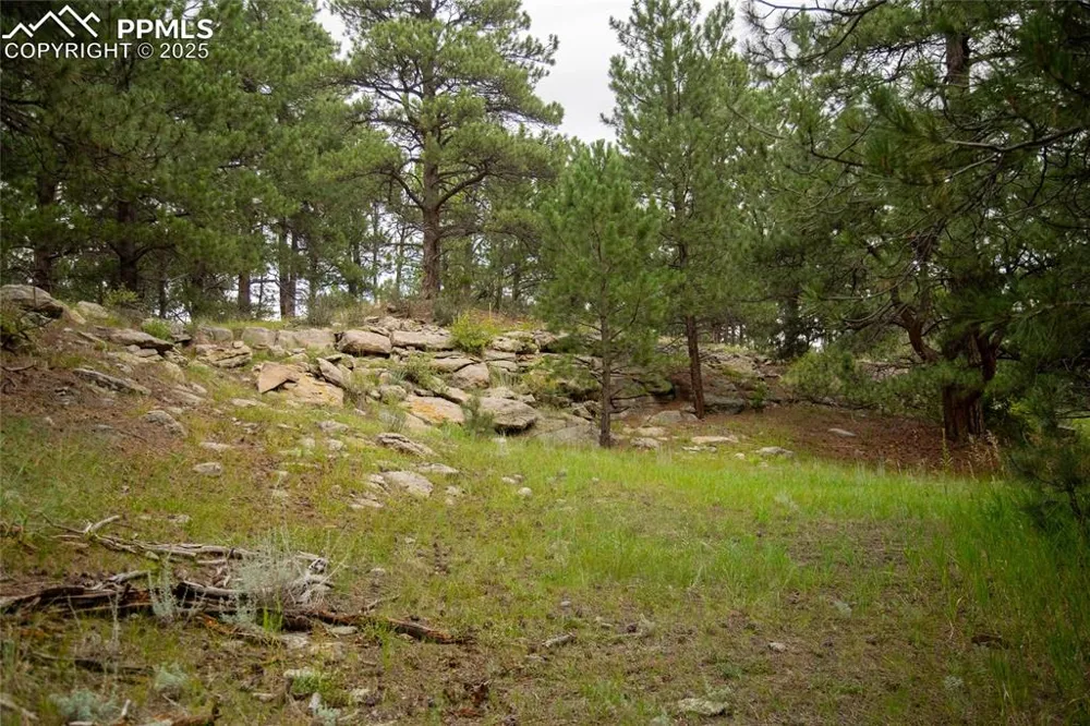 11503 E Smith Road Elbert, CO 80106