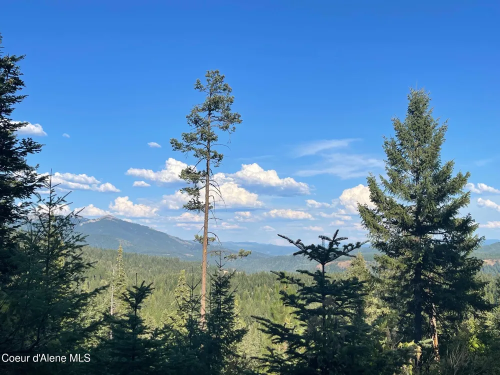 NKA Ridgeview Drive W2 St. Maries, ID 83861