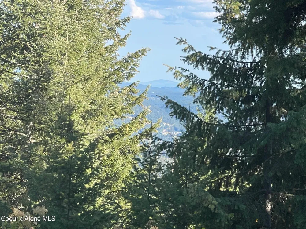 NKA Ridgeview Drive W2 St. Maries, ID 83861
