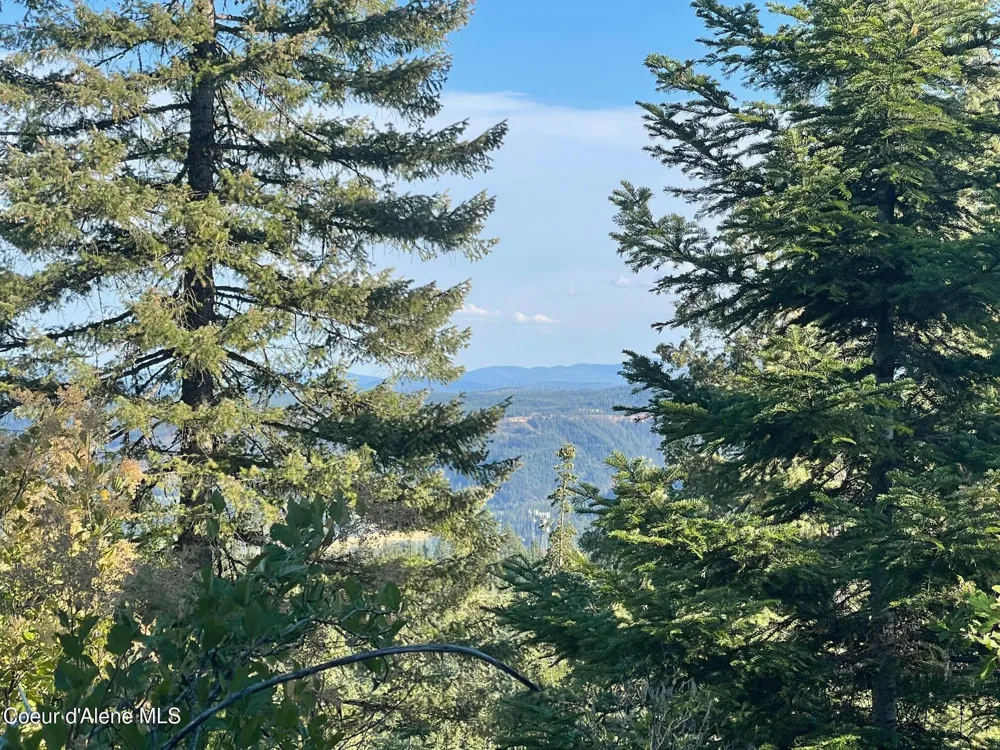 NKA Ridgeview Drive W2 St. Maries, ID 83861