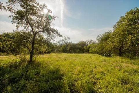 437 Firefly Field Lane