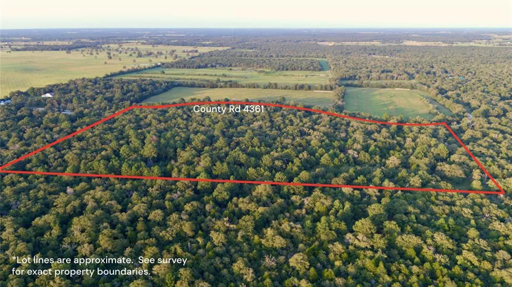 Pr 4361 Lexington, TX 78947