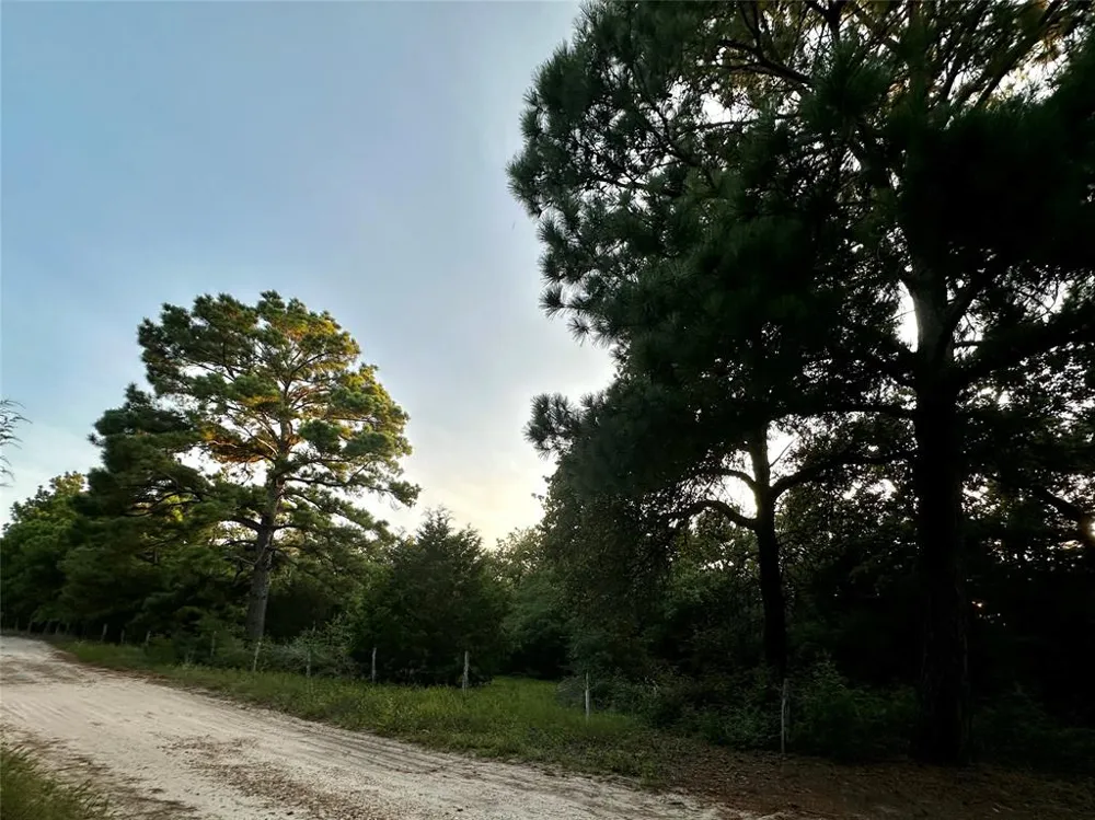 Pr 4361 Lexington, TX 78947