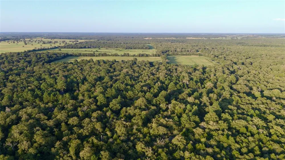 Pr 4361 Lexington, TX 78947