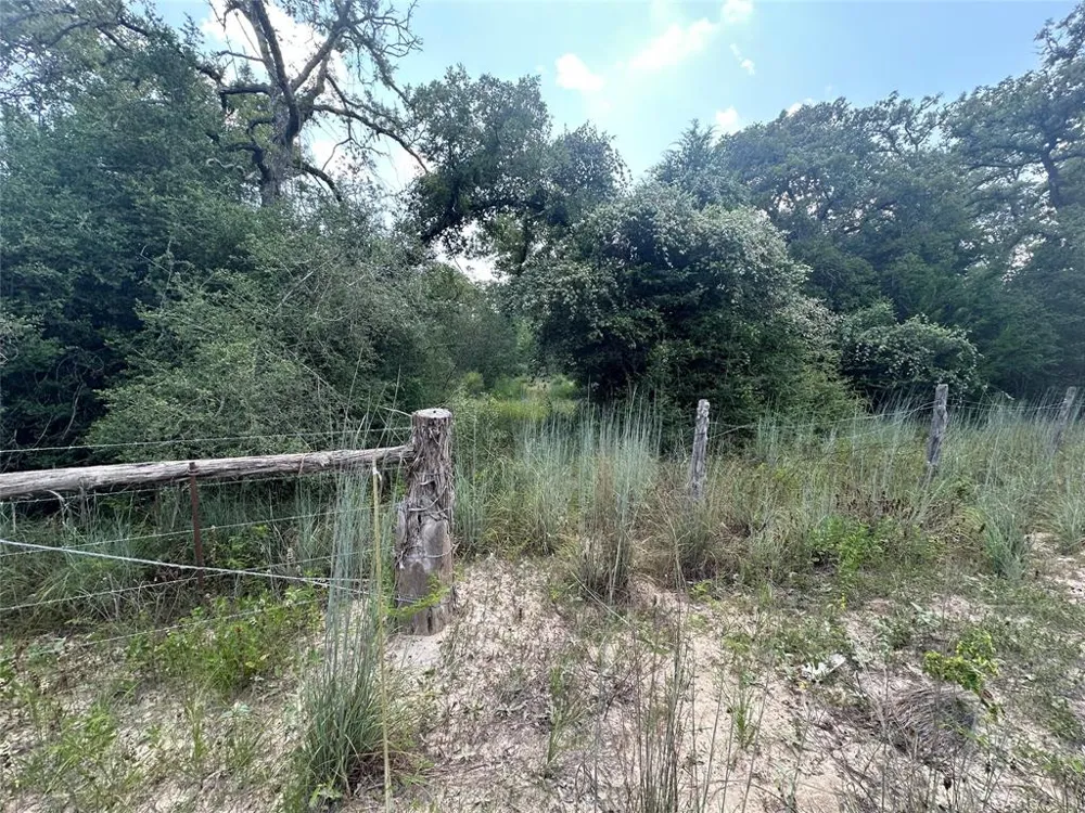 Pr 4361 Lexington, TX 78947