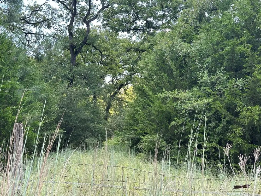 Pr 4361 Lexington, TX 78947