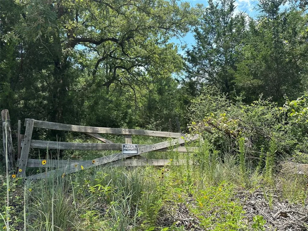 Pr 4361 Lexington, TX 78947