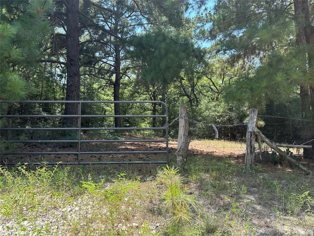 Pr 4361 Lexington, TX 78947