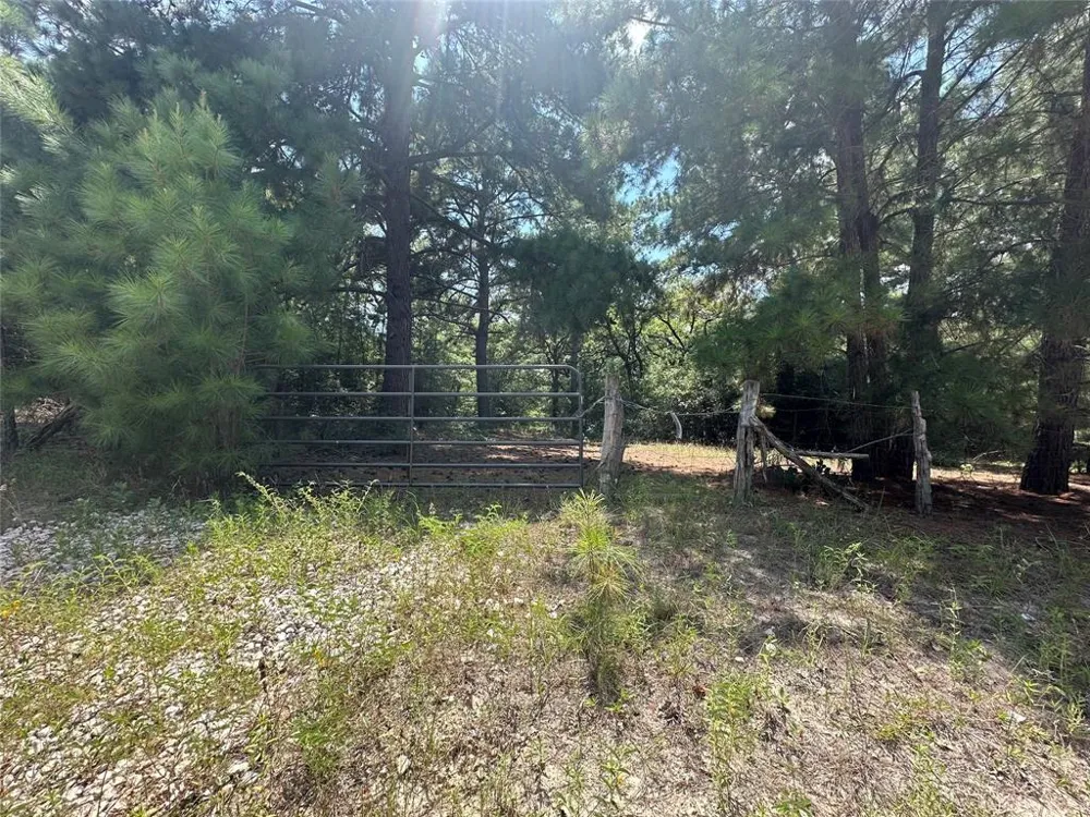 Pr 4361 Lexington, TX 78947