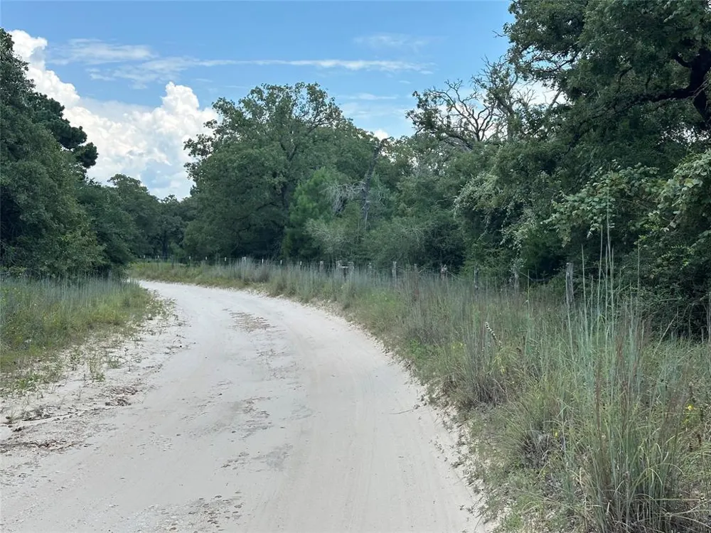 Pr 4361 Lexington, TX 78947