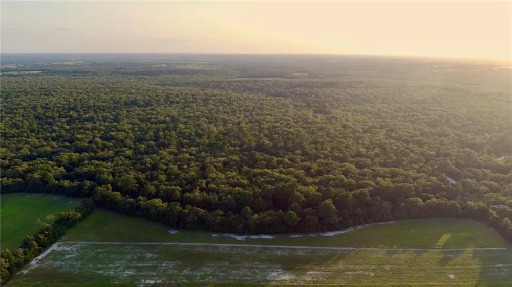 Pr 4361 Lexington, TX 78947