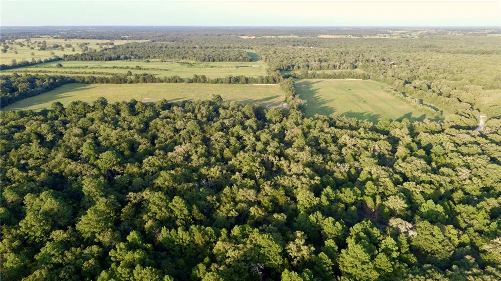 Pr 4361 Lexington, TX 78947