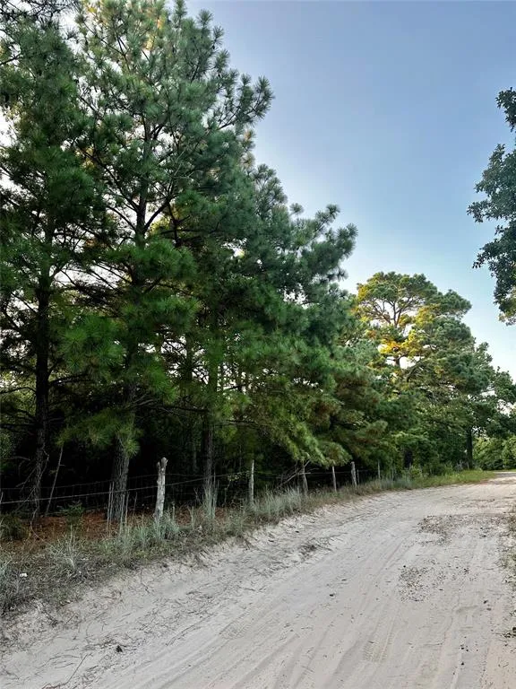 Pr 4361 Lexington, TX 78947