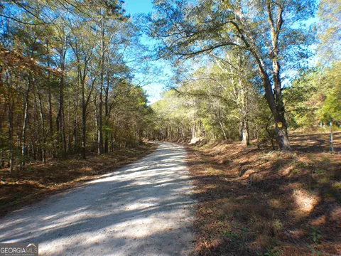 0 Dusty RD