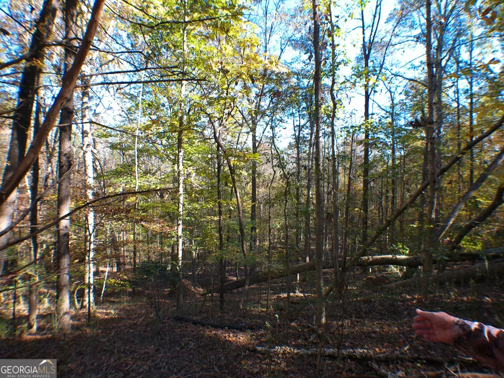 0 Dusty RD Bowman, GA 30624