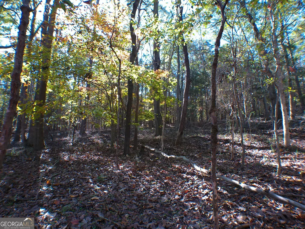 0 Dusty RD Bowman, GA 30624